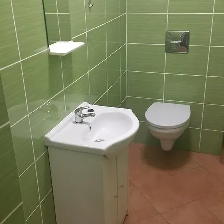 Kaktus 2